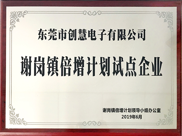 謝崗鎮(zhèn)倍增計(jì)劃試點(diǎn)企業(yè)-東莞市創(chuàng)慧電子有限公司